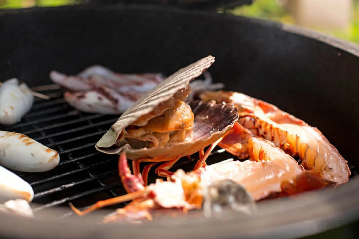 Barbecue Big Green Egg Medium multifonctions en céramique de qualité supérieure