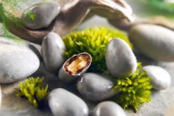 Bonbons au chocolat François Doucet Les Galets 120g