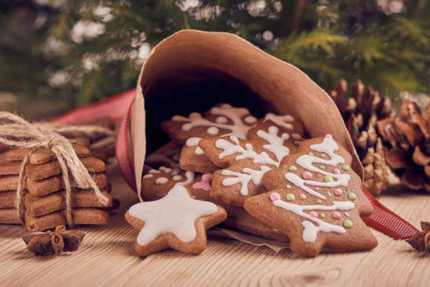 Boîte 5 découpoirs sapins Scrapcooking en polypropylène