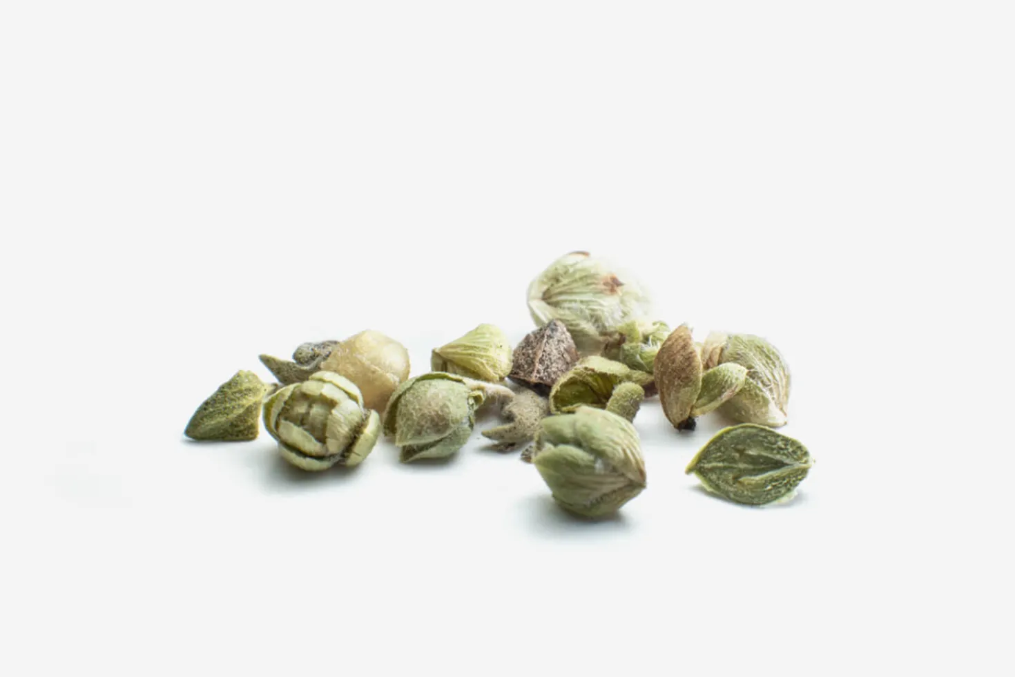 Bourgeons d'origan Georges Colin - 20g