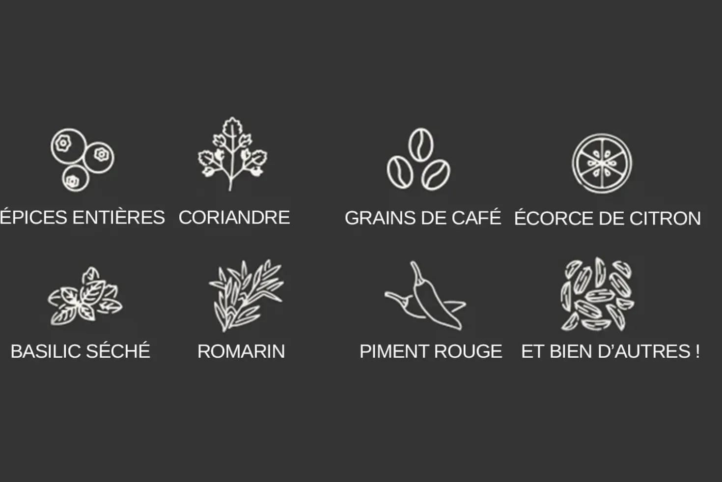 Capsule de broyage FinaPod Max pour moulin à épices Finamill
