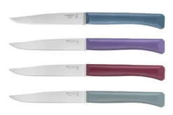 Coffret 4 couteaux Opinel Bon Appétit+ Glam 11cm inox