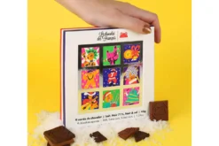 Coffret de 9 carrés de chocolat Le Chocolat des français - 45g