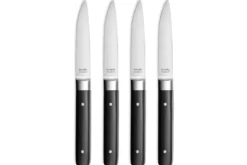 Coffret de 4 couteaux à steak Fusion Amefa
