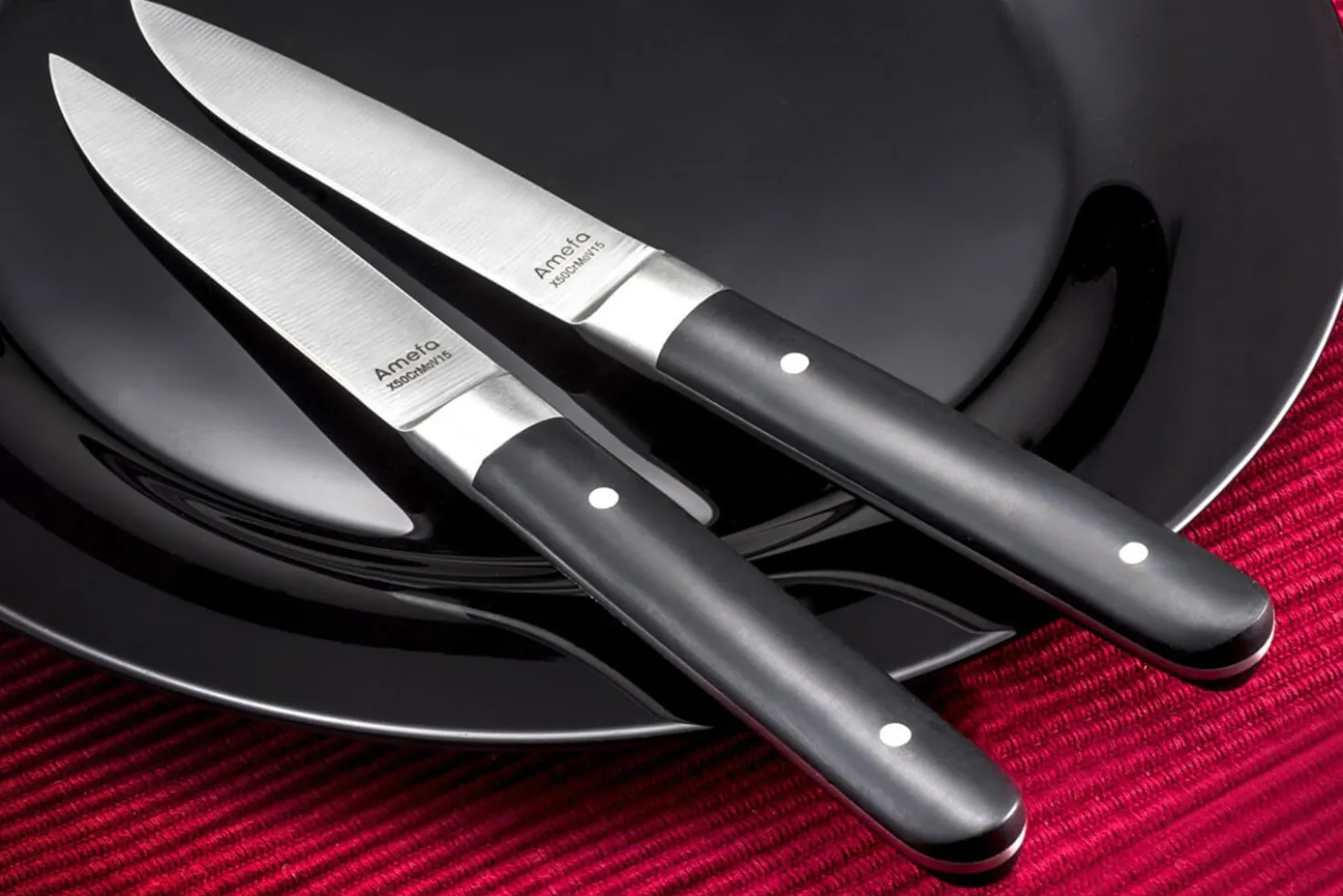 Coffret de 4 couteaux à steak Fusion Amefa