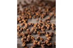 Coffret de 4 sachets fraicheur Peugeot 10g poivre sauvage Timut du Népal