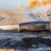 Couteau Arctic Legend Hunter's Knife AL965 artisanal lame 9cm manche en bois teinté noir + étui en cuir