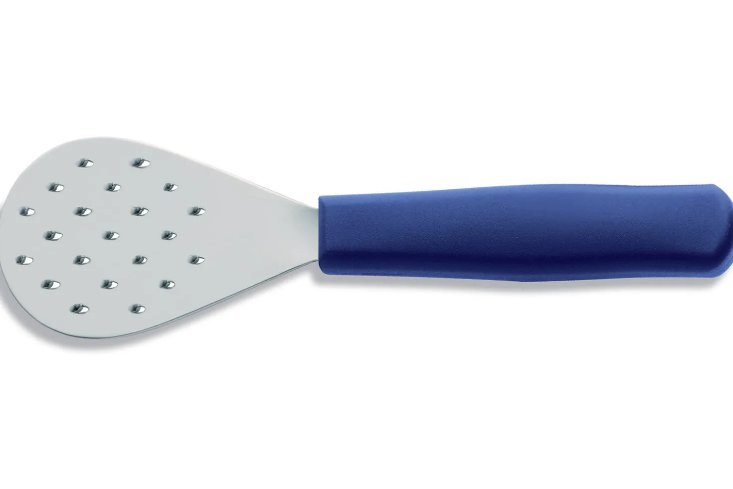 Couteau à écailler 10cm DICK manche bleu normes NSF