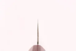 Couteau de chef 21cm japonais artisanal Takeshi Saji VG10 Rainbow
