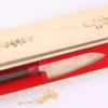 Couteau de chef 18cm japonais artisanal Takeshi Saji VG10 Rainbow Nashiji