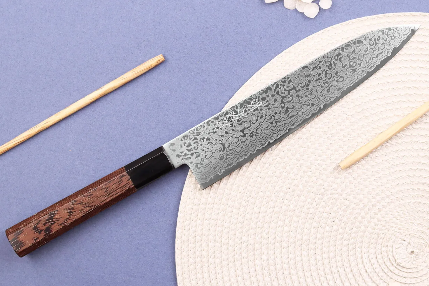 Couteau de chef 21cm japonais Sakai Takayuki Ginga damas