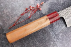Couteau de chef japonais artisanal Tsunehisa Aogami Super martelé 24cm