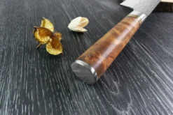 Couteau de chef japonais artisanal forgé Takeshi Saji R2 Tsuchime 21cm