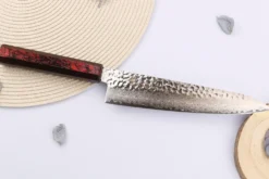 Couteau de chef japonais 21cm Sakai Takayuki Nanairo Wine Damas VG10