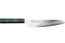 Couteau de chef japonais 21cm Sakai Takayuki Nanairo Green Damas VG10