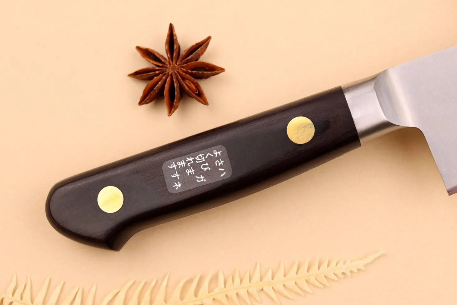 Couteau de chef japonais Misono SW