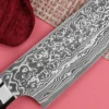 Couteau de chef japonais Takeshi Saji R2 Damas Mosaïque 21cm