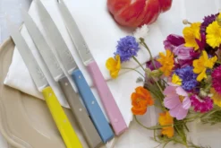 Couteau de table Opinel Bon Appétit Bois n°125 lame 11cm en inox manche en charme tilleul