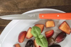 Couteau de table Opinel Bon Appétit Bois n°125 lame 11cm en inox manche en charme mandarine