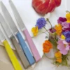 Couteau de table Opinel Bon Appétit Bois n°125 lame 11cm en inox manche en charme rose