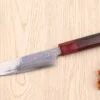 Couteau d'office 13cm japonais artisanal Takeshi Saji VG10 Rainbow