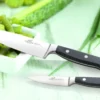 Couteau d'office Sabatier International Pluton lame 9cm manche riveté