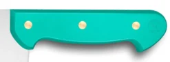 Couteau à fromage 1 main 3 rivets 32 Dumas Affil 28cm manche vert