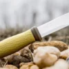 Couteau Mora 2000 10629 lame inox 10,9cm manche caoutchouc vert + étui