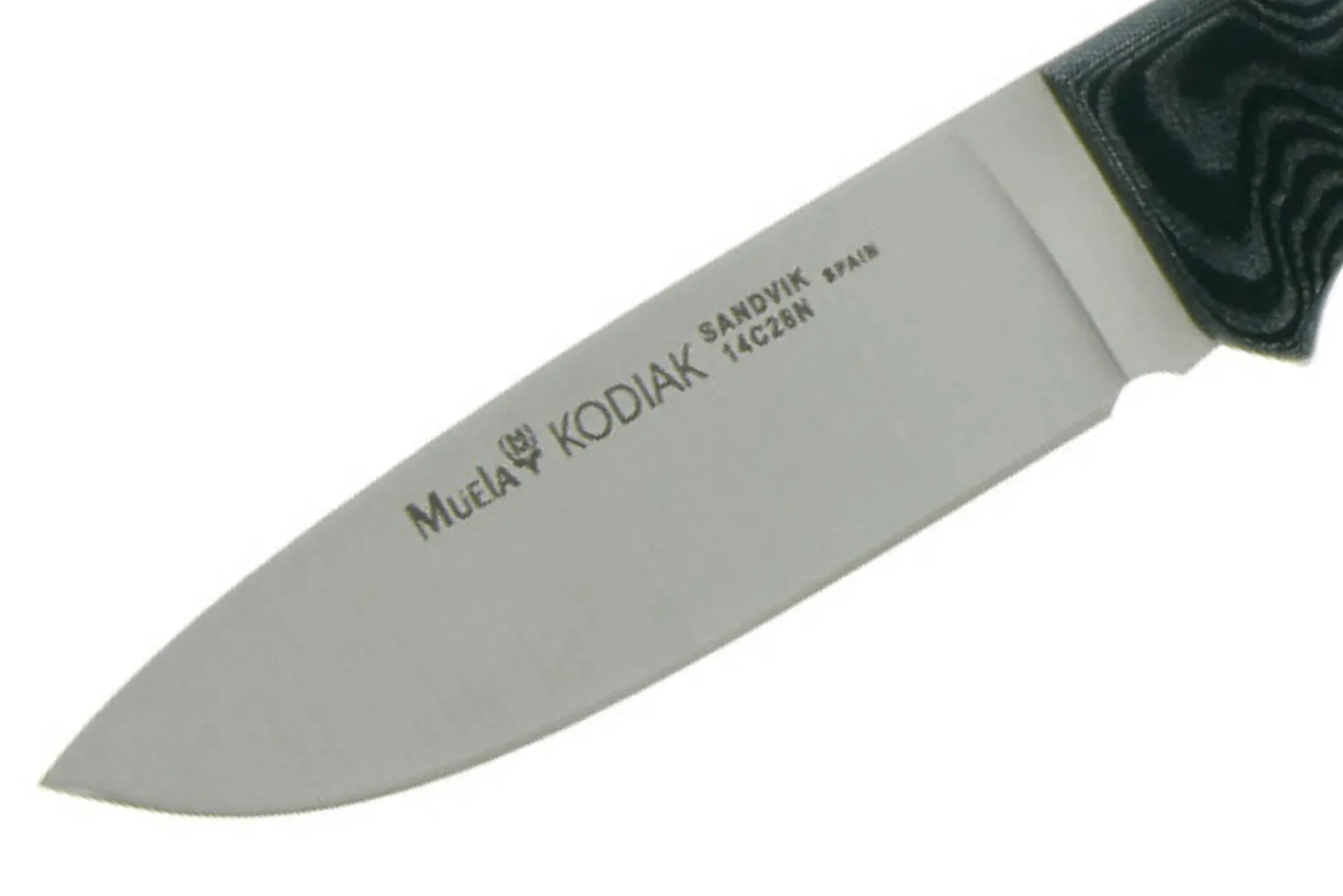 Couteau Muela Kodiak 9306 lame en inox 10cm manche en micarta gris + étui en cuir