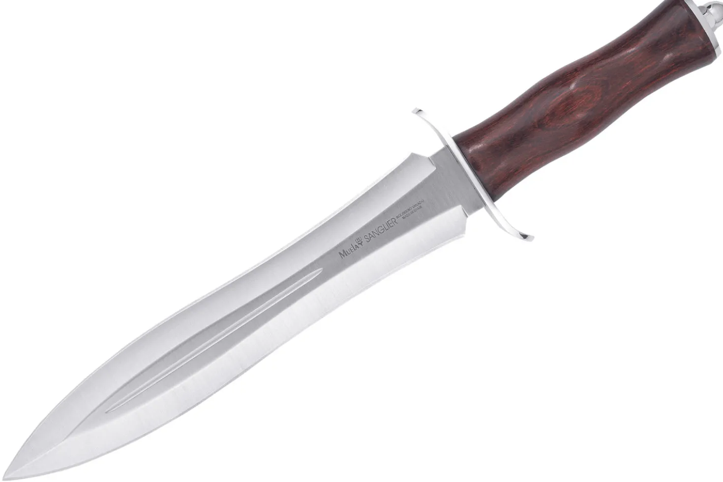 Couteau Muela Sanglier 9253 lame en inox 24cm manche en stamina wood + étui en cuir
