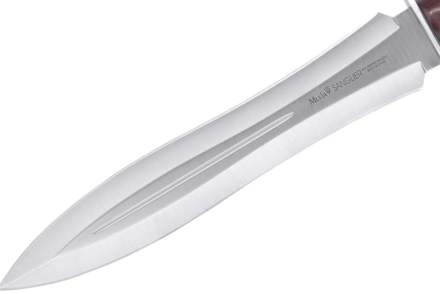 Couteau Muela Sanglier 9253 lame en inox 24cm manche en stamina wood + étui en cuir