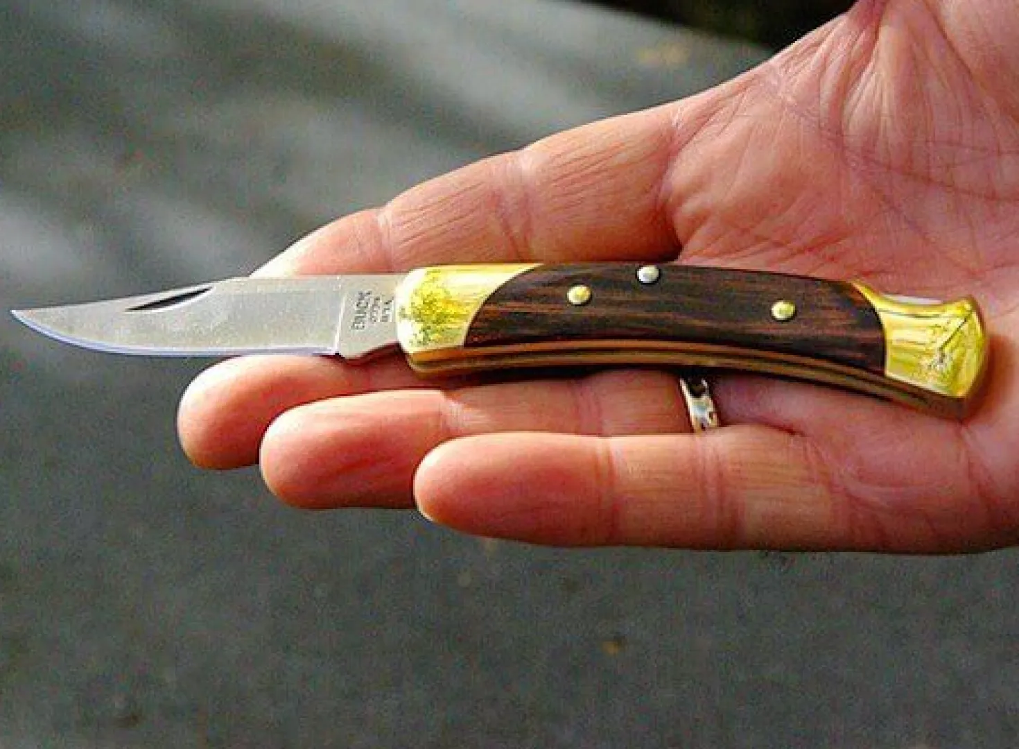 Couteau pliant BUCK the 55 n° 55BRS manche en ébène 9cm