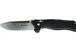 Couteau pliant Ganzo Firebird GG720BK manche en G10 noir 12cm