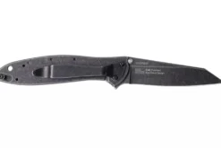 Couteau pliant Kershaw Random Leek Blackwash KS.1660RBW manche en acier inox 10,2cm