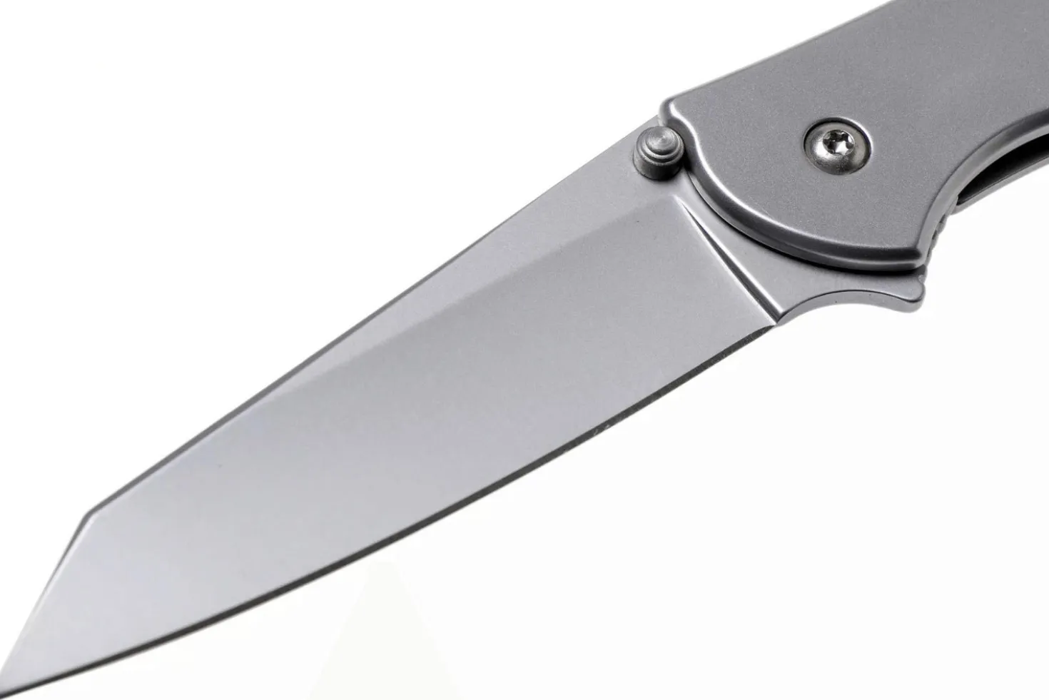Couteau pliant Kershaw Random Leek KS.1660R manche en acier inox 10,2cm