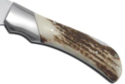 Couteau pliant Puma IP Bison Stag 310112 manche bois de cerf 11,5cm