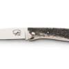 Couteau pliant Salamandra manche corne de cerf 9,5cm