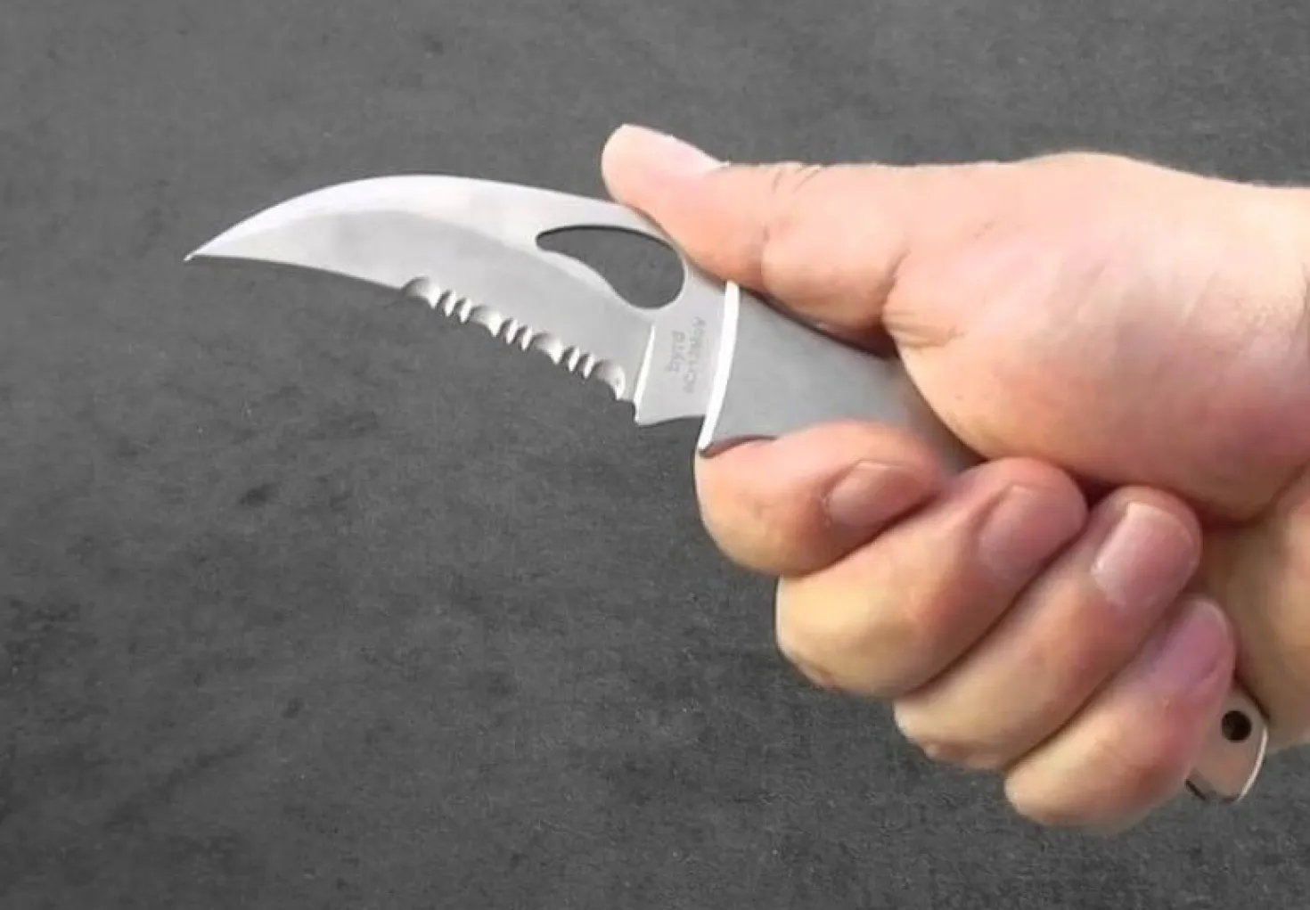 Couteau pliant Spyderco BYRD Crossbill à dents tout inox 12cm