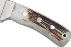 Couteau Puma IP Montero Stag 329712 lame 12cm manche bois de cerf + étui en cuir