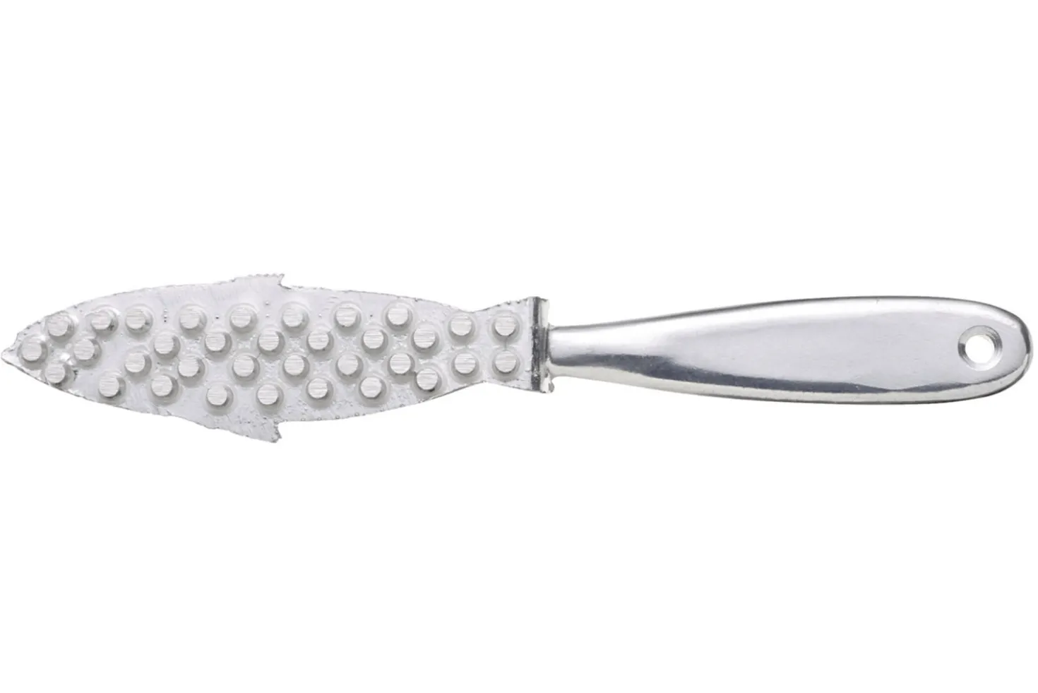 Ecailleur à poisson KitchenCraft en acier inoxydable 21cm