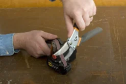 Kit 6 courroies de remplacement pour affûteuse électrique WorkSharp WS1 - Medium 220
