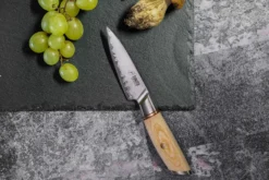 Mallette 4 couteaux de cuisine Fukito Pakka San Mai