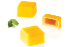 Moule en silicone et tritan professionnel Silikomart 24 pralines avec insert