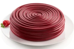 Moule Silikomart Vinile 3D en silicone