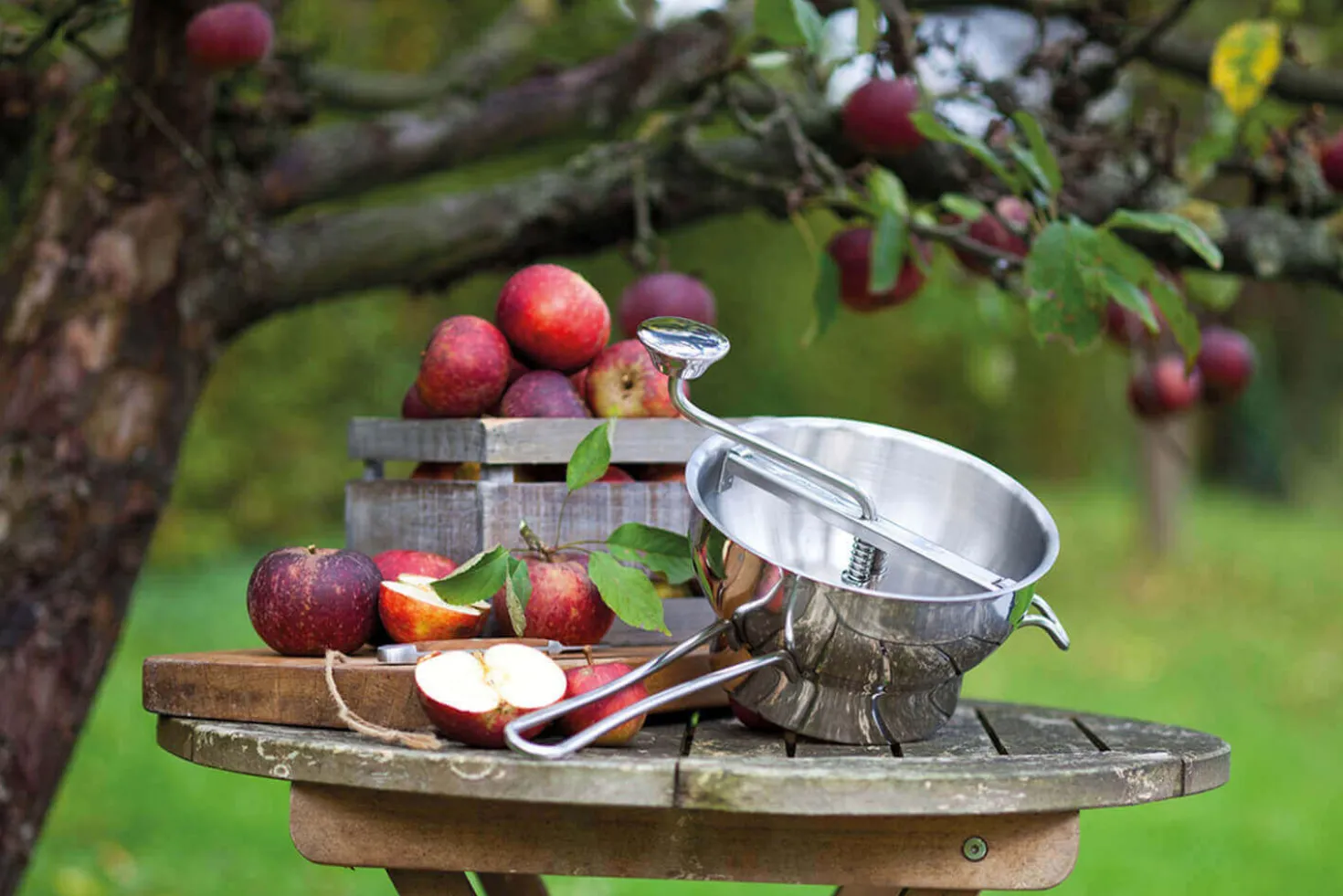Moulin à légumes manuel Gefu Flotte Lotte tout inox avec 2 grilles - Diamètre 20cm