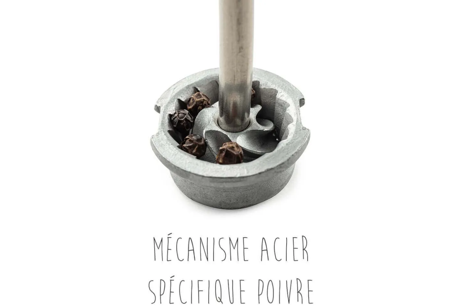 Moulin à épices manuel Peugeot Line Carbone 12cm