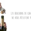 Pince à champagne Vacu Vin