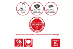 Plat four rectangle Peugeot Appolia en céramique rouge 20x15,5x5,5cm