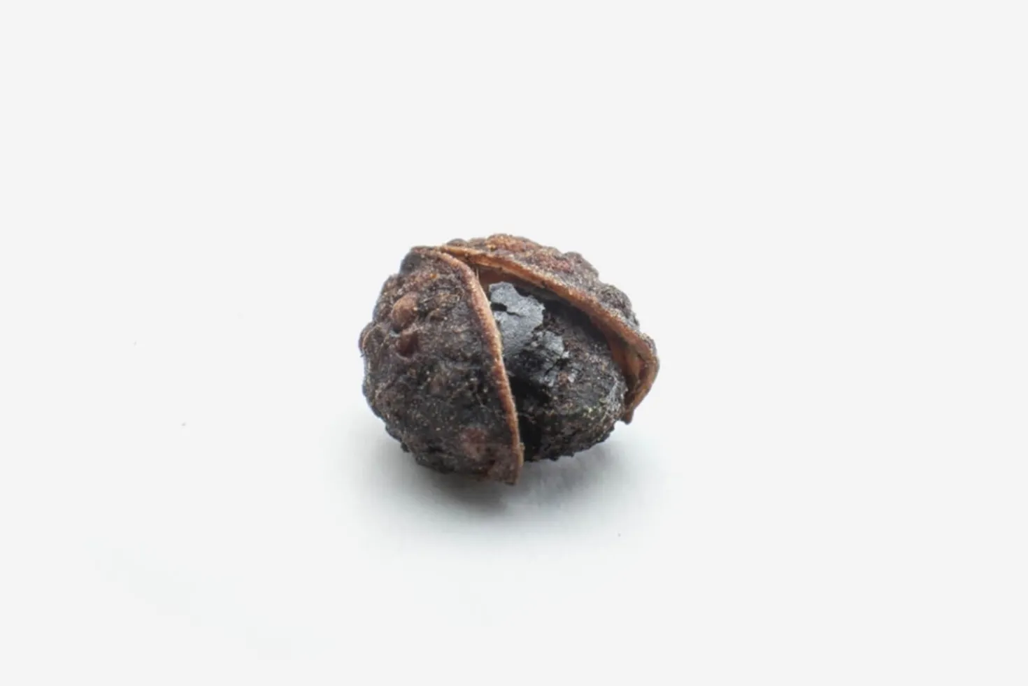 Poivre de Timut Georges Colin - 40g