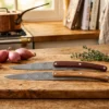 Set de 2 couteaux d'office Deejo Office Art Déco manche en bois d'olivier et bois corail 9cm